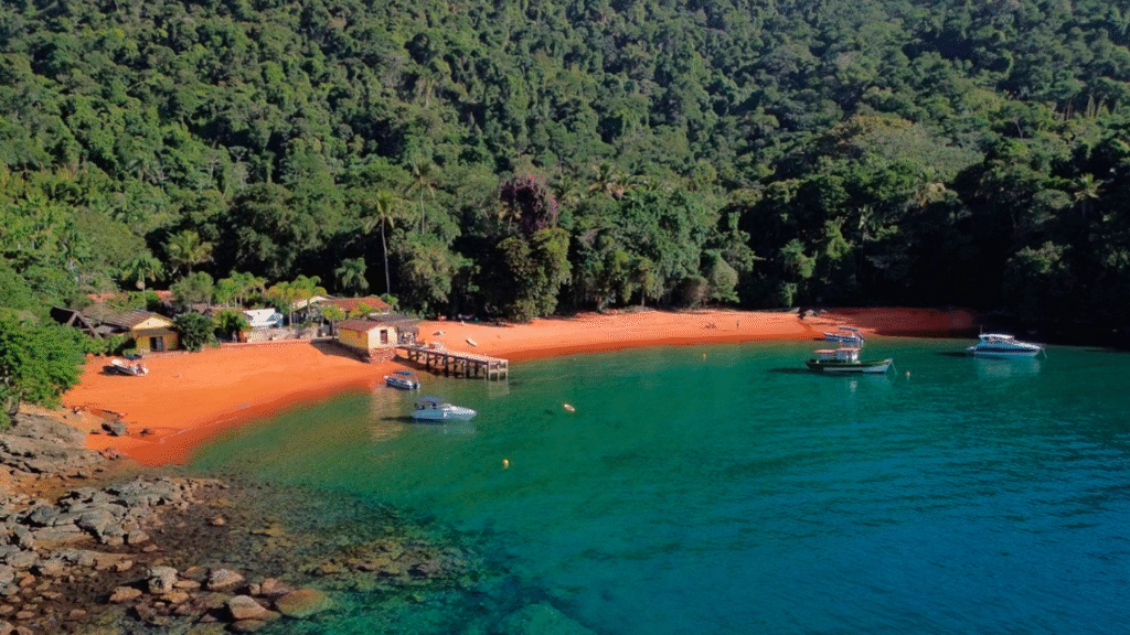 Araçatibinha,Ilha Grande